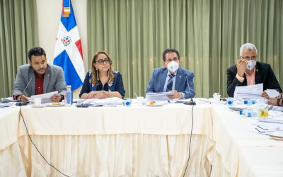 Comisión Bicameral avanza en estudio del proyecto de Ley Orgánica de Cámara de Cuentas