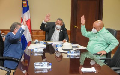 Comisión de Cultura favorece reconocer a Fundación Sinfonía por sus aportes en beneficio de la nación dominicana