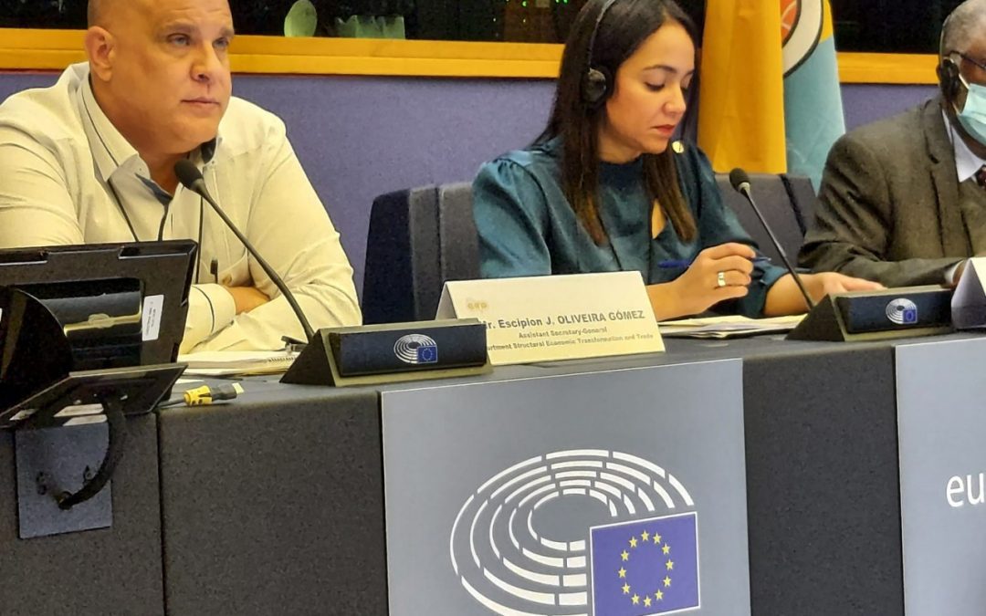 Senadora Faride Raful asume liderazgo en la OACP-UE sobre cambio climático