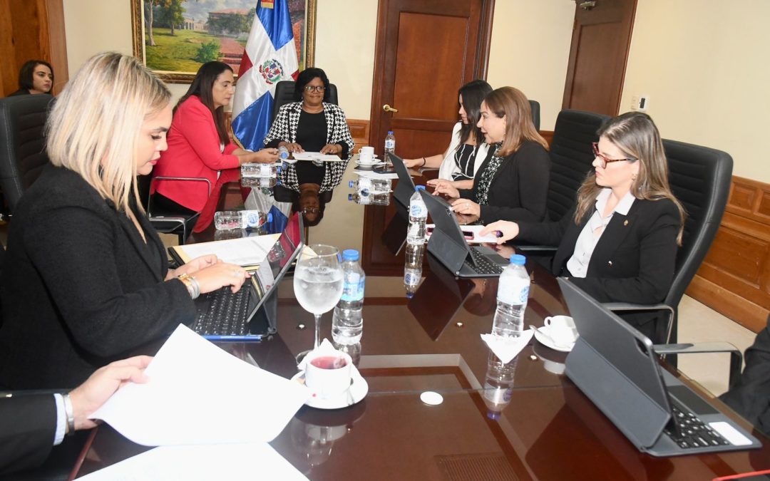 Comisión Senado y ministra de la Mujer analizan proyecto ley crea Sistema Integral para erradicación violencia contra mujer